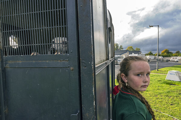 Claws, Offaly, Ireland 2018