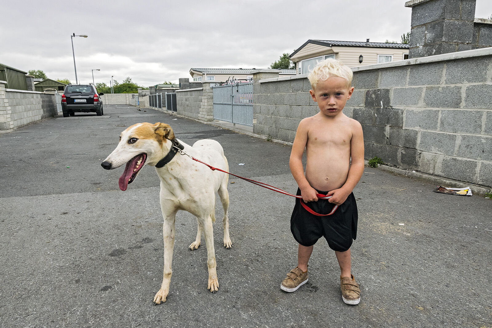 William and His Pet Lurcher, Limerick, Ireland 2018