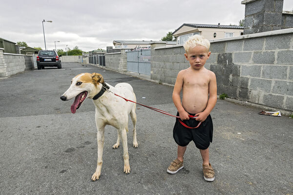 William and His Pet Lurcher, Limerick, Ireland 2018