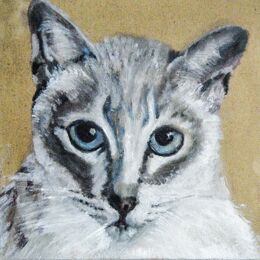 Lesley's Cat SOLD