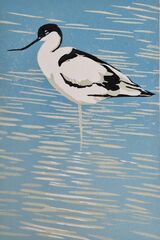 Avocet Linocut reduction print limited edition