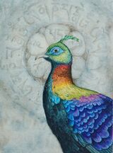 Himalayan Monal watercolour miniature