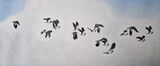 Lapwings in flight watercolour painting