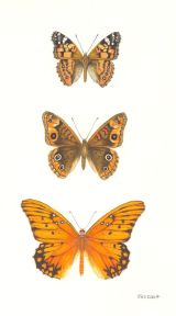 Original watercolour painting