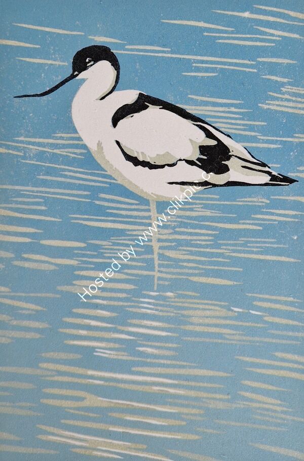 Avocet reduction linocut print