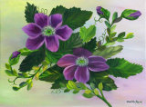 Clematis: **SOLD**