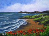 Clifftop poppies **Sold**