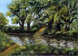 Down By the River **Sold*