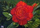 Flame Rose **Sold**