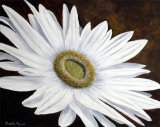 White Germini -