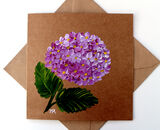 Pink Hydrangea - Sold