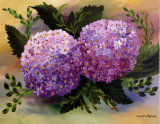 Hydrangeas: