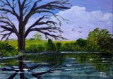 Lakeside reflections **Sold**
