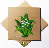 LILY OF THE VALLEY