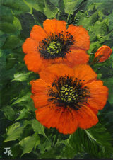 Poppies **Sold**