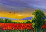 Poppy Walk **Sold**