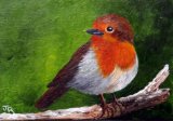 Robin **Sold**