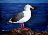 Seagull - SOLD (COMMISSION)