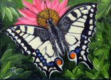 Swallowtail Butterfly **Sold**