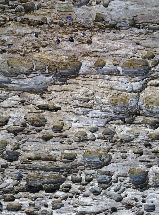 Geologica X