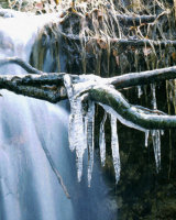 Phases of Water