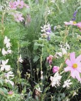 Pastel Flowers
