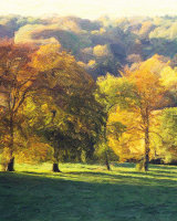 Autumn Colours