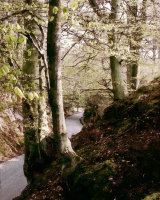 Sandy Lane