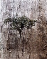 Out of the Decay