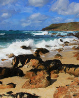 Impasto Medium