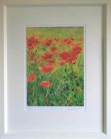 Poppies