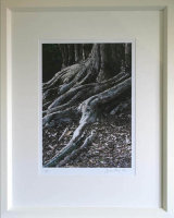 Tree Roots