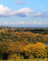 View from Ashdown Forest