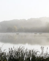 Weir Wood