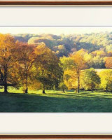 Autumn Colours