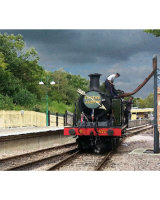 The Bluebell Line