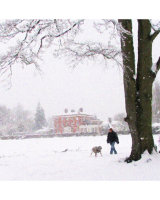 East Court in Snow