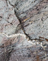 Rock Serpents