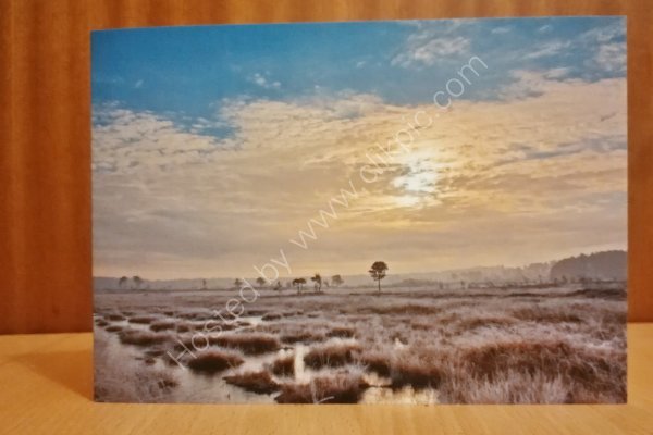 Thursley greeting card
