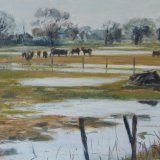 Send Marsh in the Floods