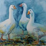 Three Geese