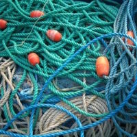 fishing ropes 01
