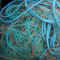 fishing ropes 2