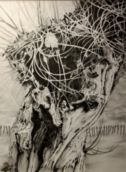 pollard willow, river wey, pencil drawing