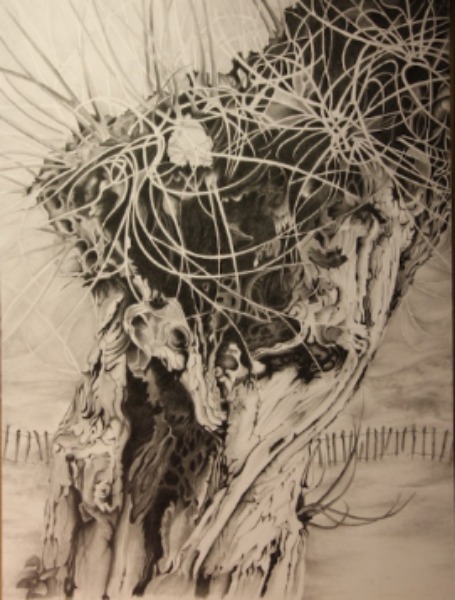 pencil drawing, pollarded willow, river Wey