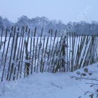 snow, fencing, Pyrford surrey photograph