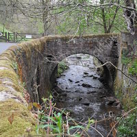 Barrow Bridge, Bolton, woodland scenery, photgraph