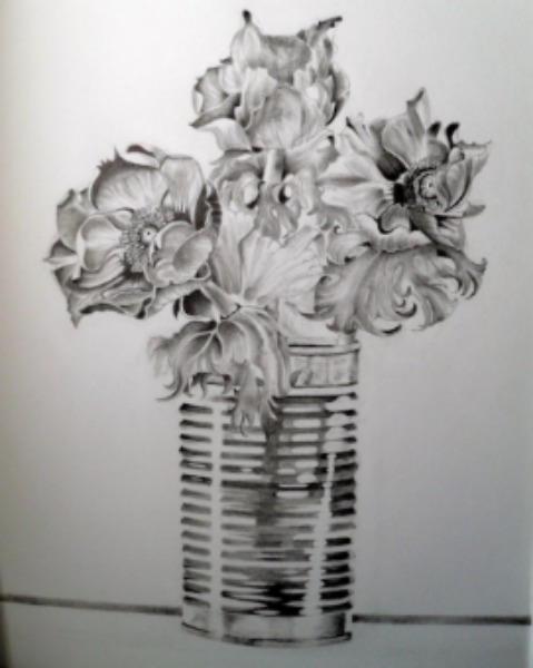 pencil artwork, anemones