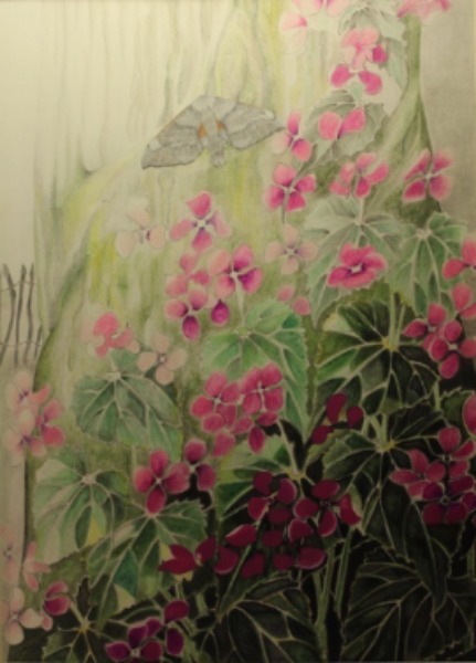 lunaria, oak tree, water-soluble-pencil, drawing, graphite.