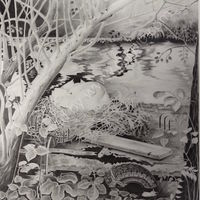 nesting swan, pencil drawing